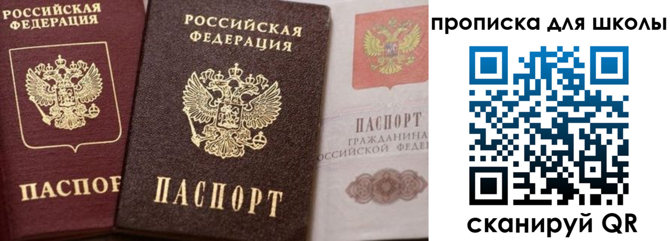 прописка законно в Боготоле